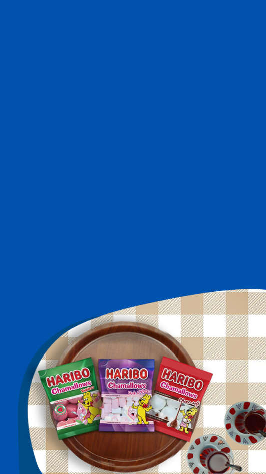 HS banner dikey