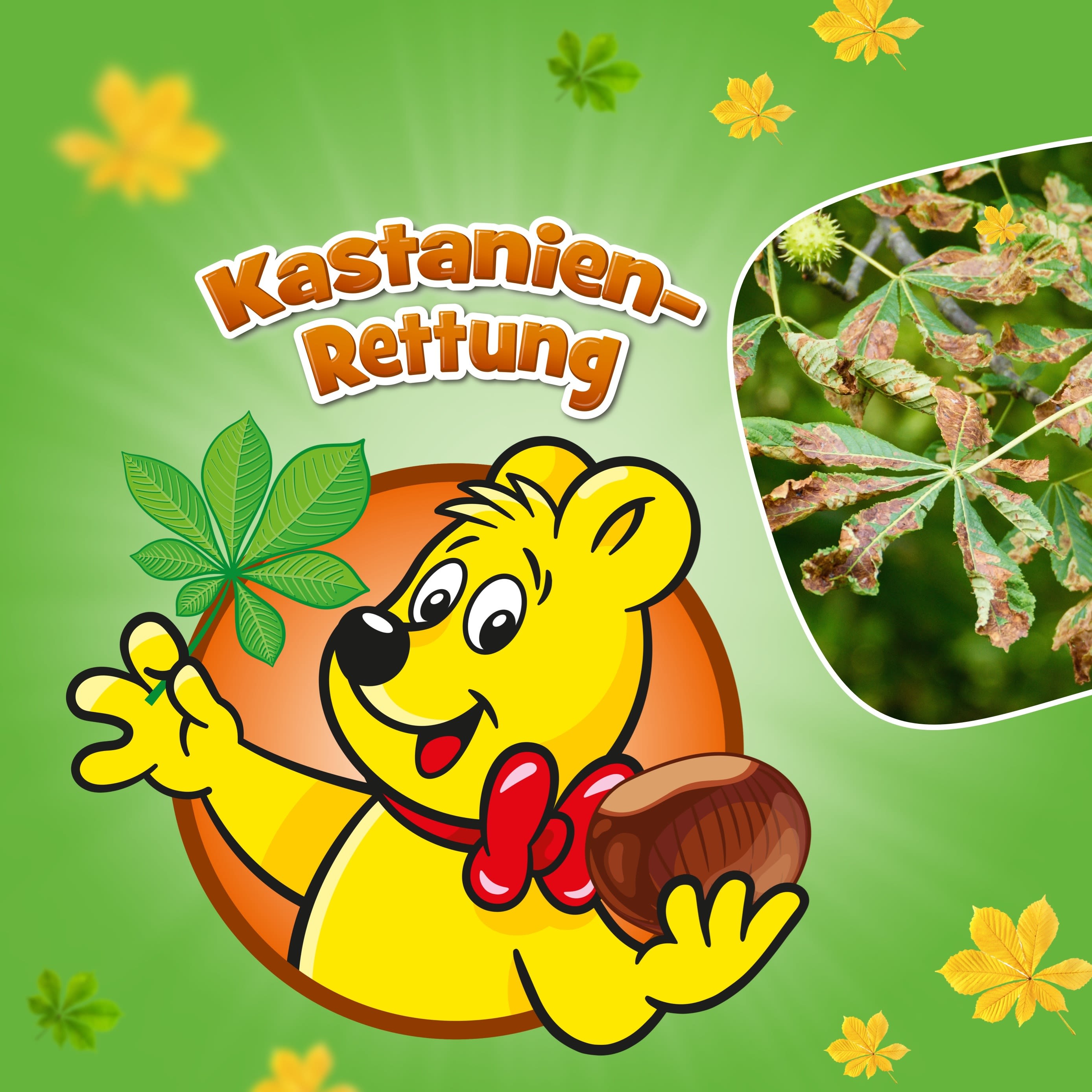 M005 Kastanienrettung