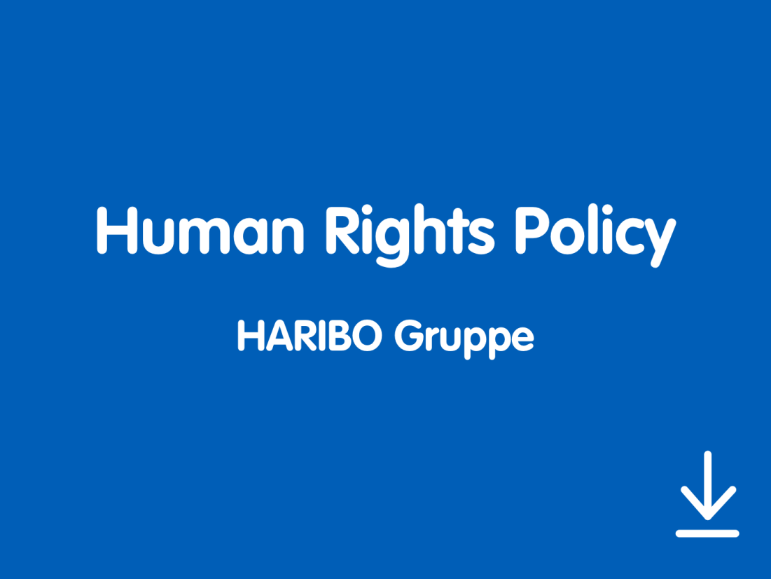 Menschenrechtserklärung v1 1x