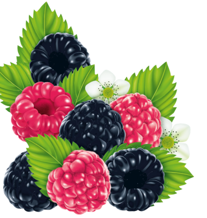 Illustration of the HARIBO Berries bags: Raspberries and blackberries with green leaves