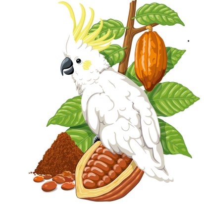 Illustration der Konfekt Schoko Edition Beutel: Kakadu mit Kakaobohnen