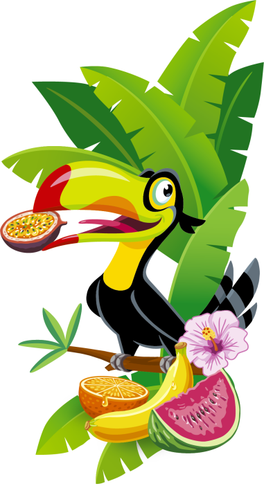Ilustração do saco de Tropifrutti: tucano com frutas tropicais