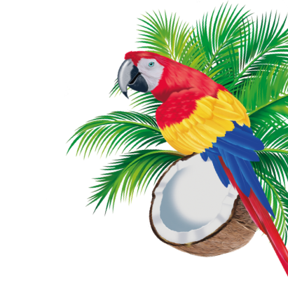 Illustration der Konfekt Beutel: Papagei mit Palmwedel und Kokosnuss
