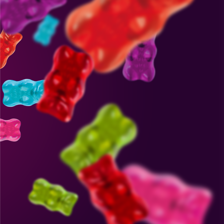 M023 gallery wildbären teil2