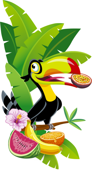 Ilustração do saco de Tropifrutti: tucano com frutas tropicais