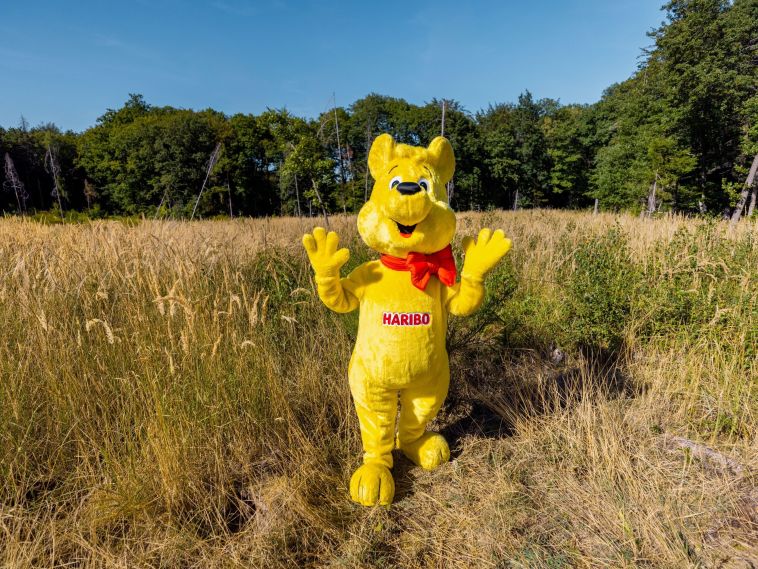 HARIBO Goldbär auf neuer Waldfläche 1 c HARIBO_4zu3
