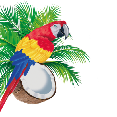 Illustration der Konfekt Beutel: Papagei mit Palmwedel und Kokosnuss