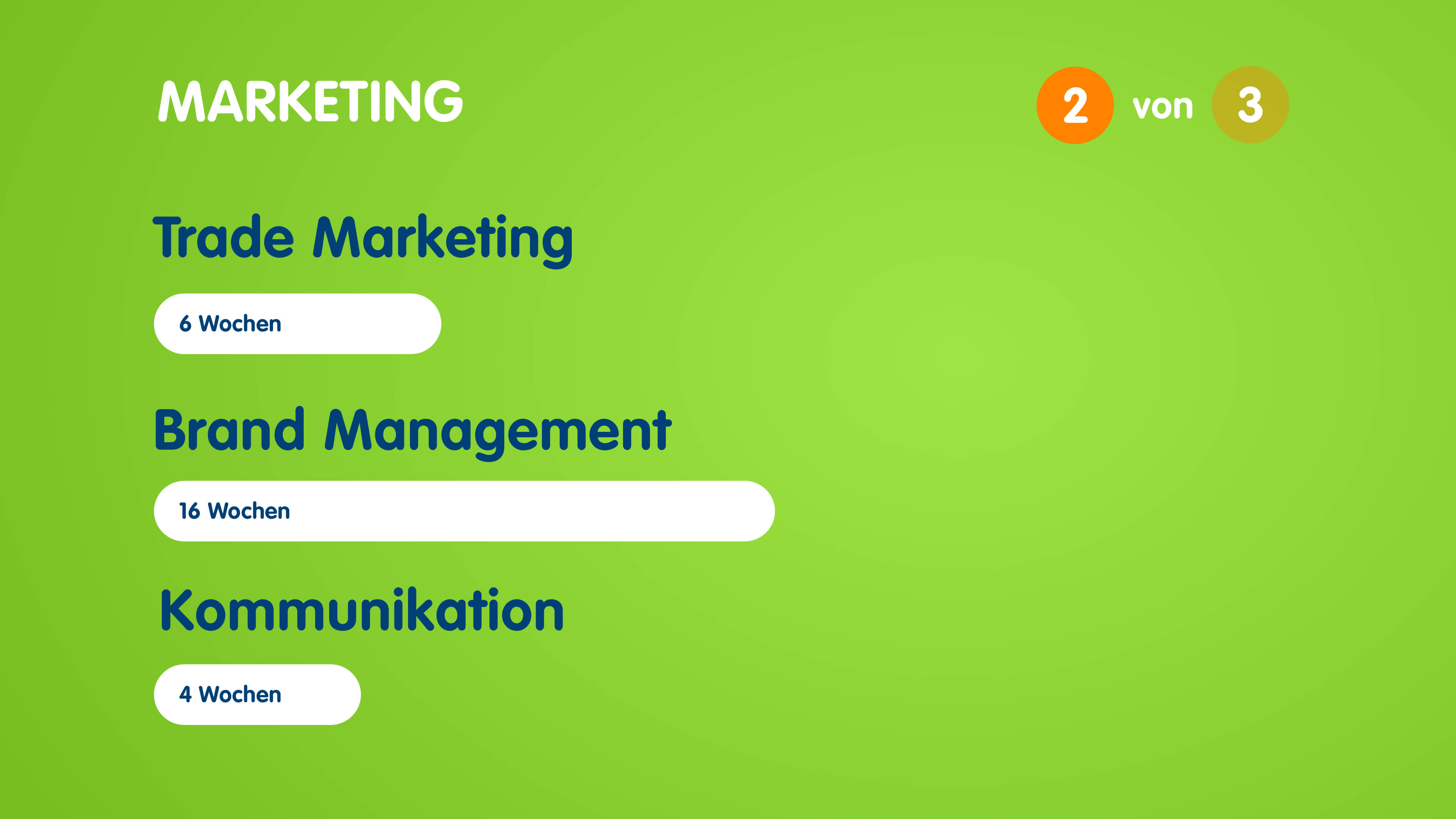Infografik zum Aufbau des Traineeprogramms im Marketing