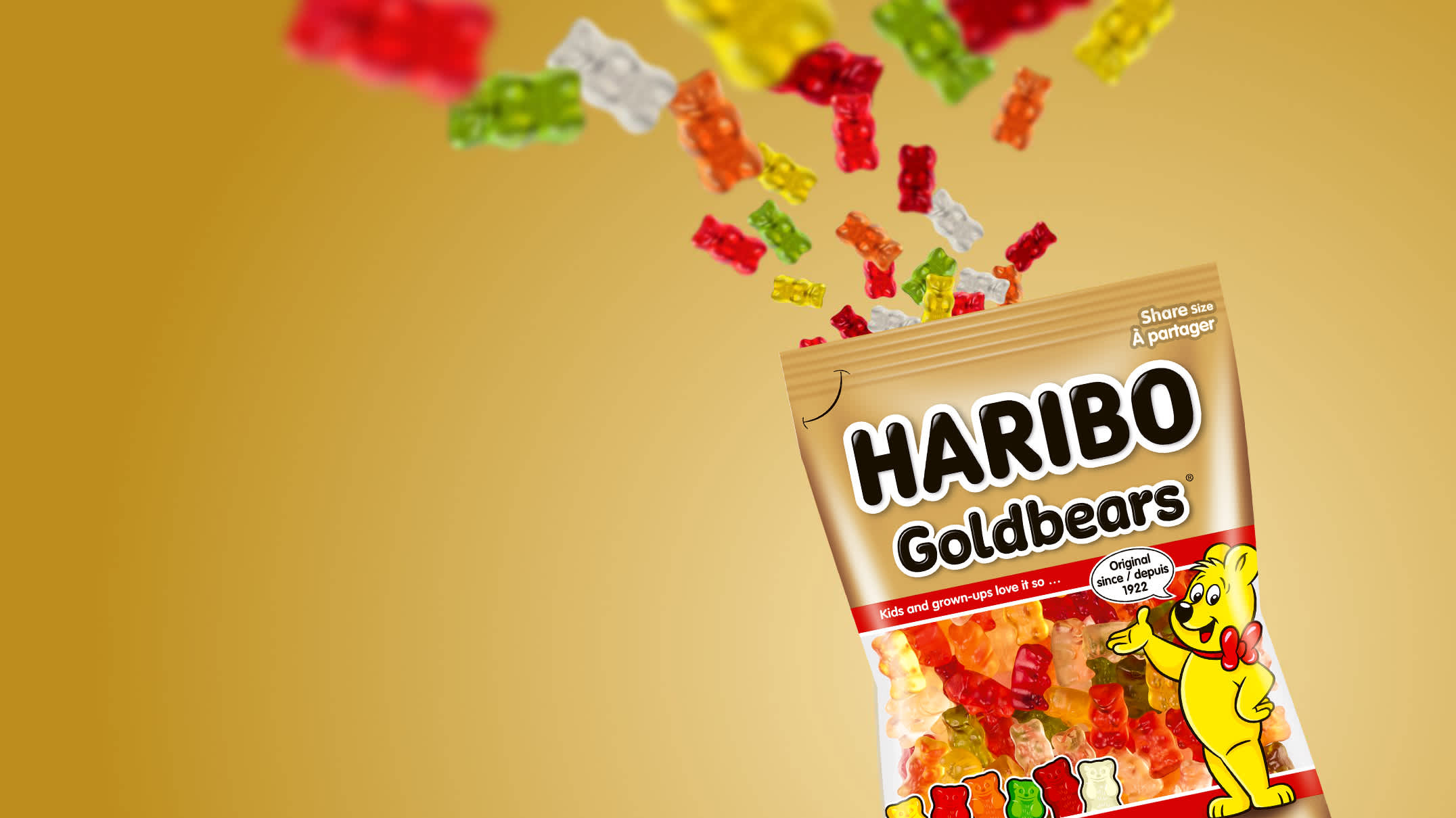 M050 CA xl goldbears