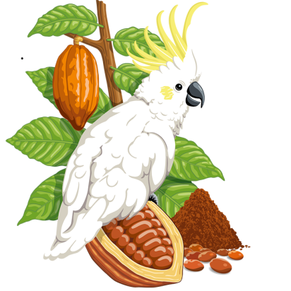Illustration der Konfekt Schoko Edition Beutel: Kakadu mit Kakaobohnen