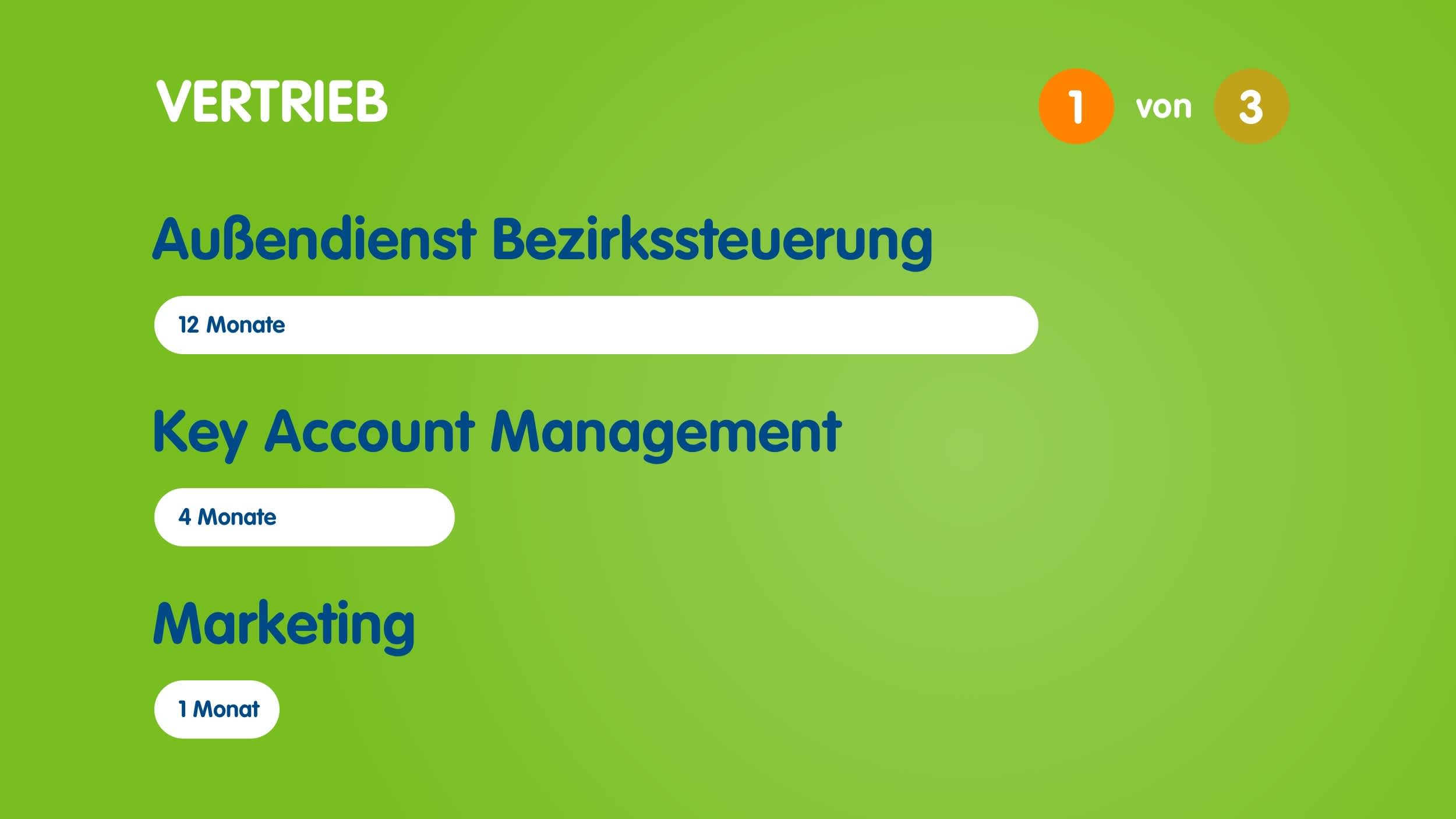 Infografik zum Aufbau des Traineeprogramms im Vertrieb