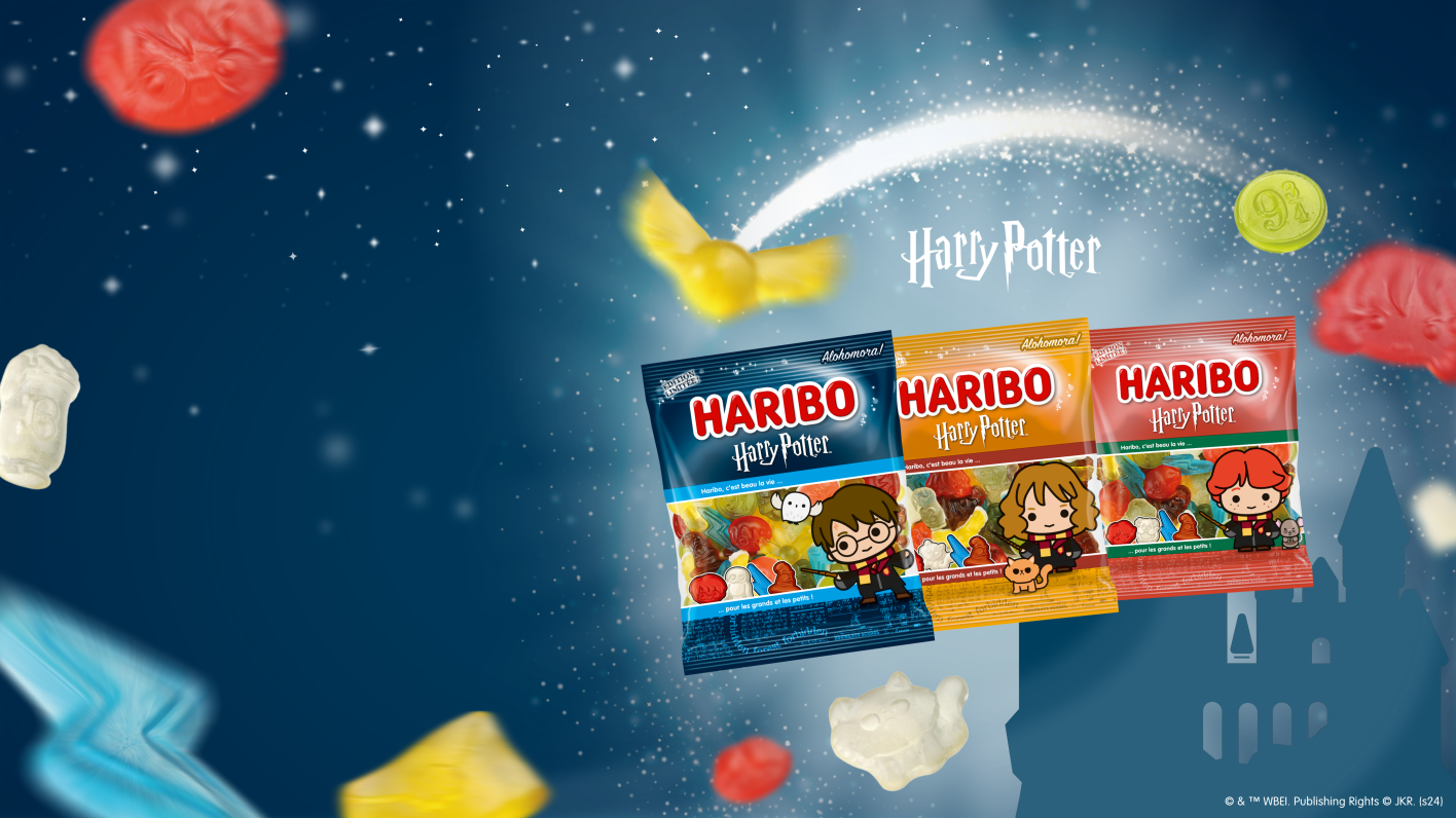 M050 stage harry potter desktop XL FR