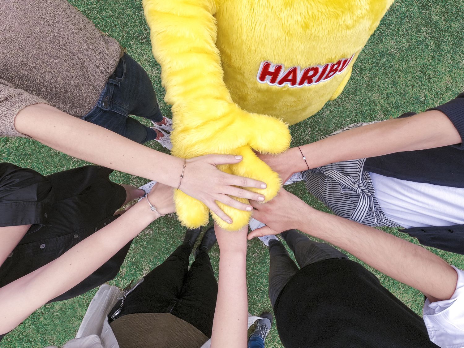 Menschen und Goldbär stehen im Kreis stapeln ihre Hände in der Mitte zusammen.