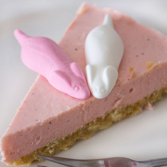Rosa Stück süße Mäuse Cheesecake verziert mit 2 Schaumzucker-Mäusen