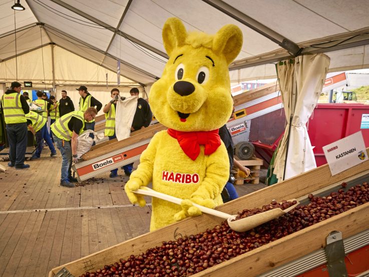 Der Goldbär als Walking Act schaufelt bei der Kastanienaktion gesammelte Kastanien auf das Kastanienband.
