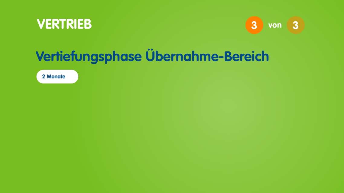 Infografik zum Aufbau des Traineeprogramms im Vertrieb