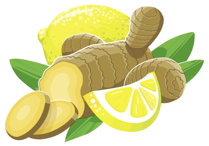 Zitrone und Ingwer mit Blättern als Illustration
