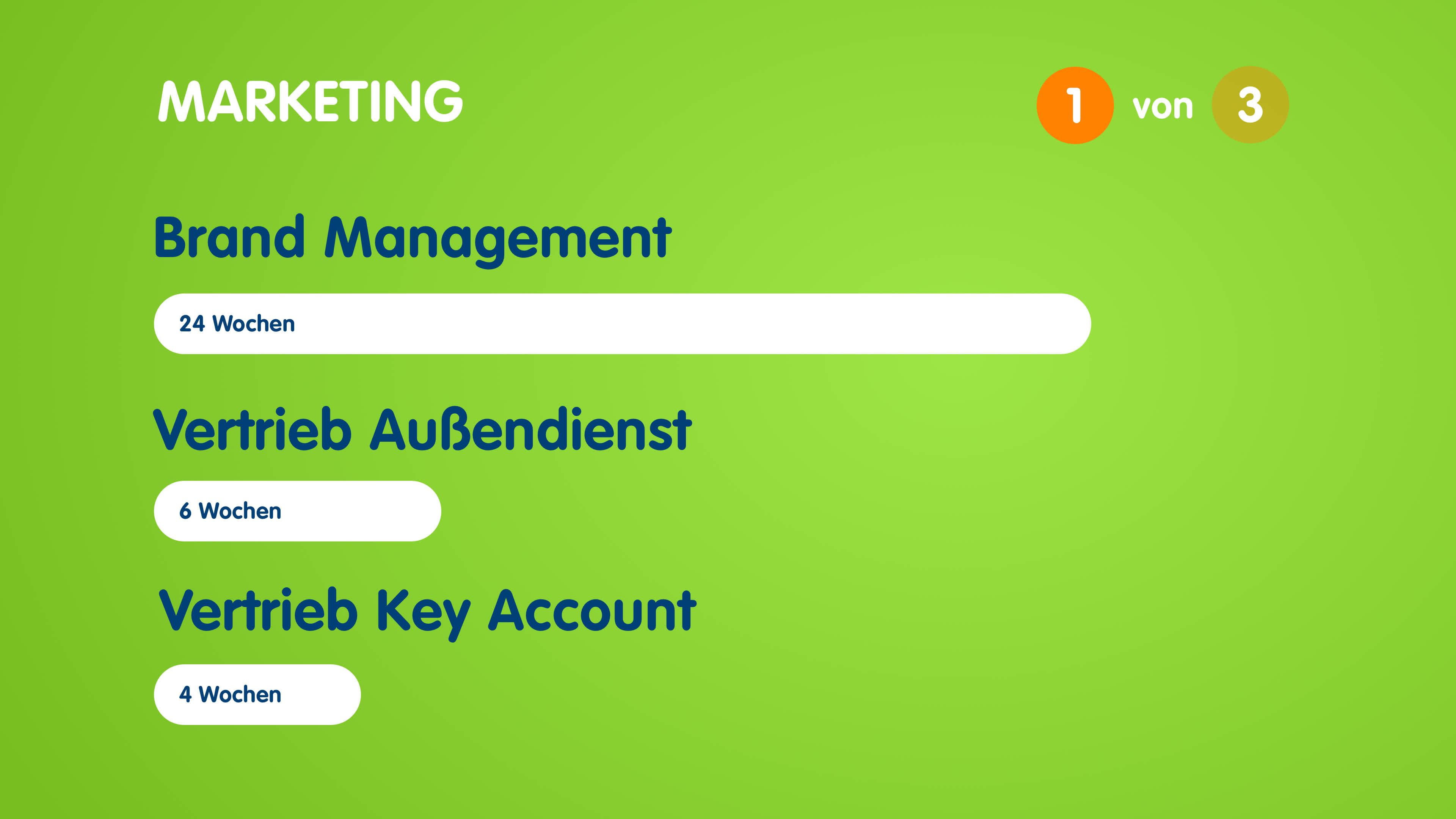 Infografik zum Aufbau des Traineeprogramms im Marketing