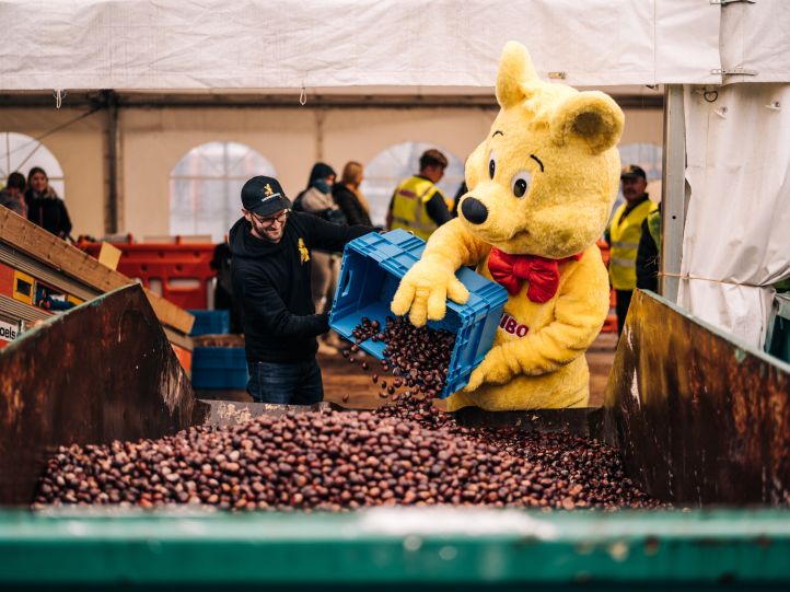 HARIBO Goldbär schüttet Kastanien in einen Container
