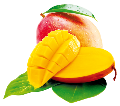 Mango keyvis