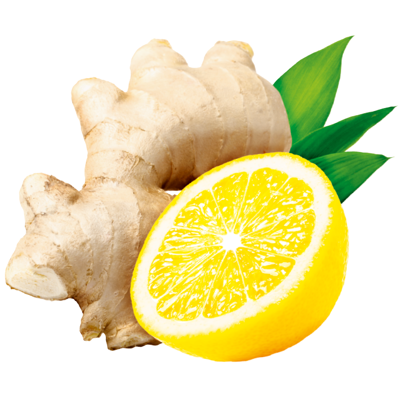 ILLUSTRAZIONE ZENZERO LIMONE