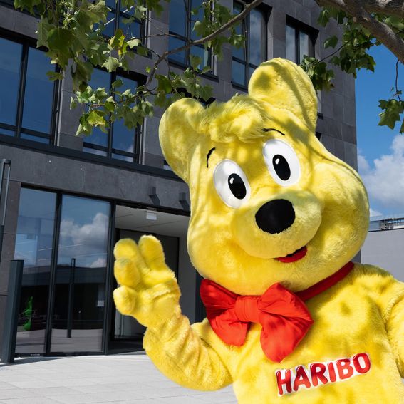 Big Goldbear in front of the headquarters in Grafschaft