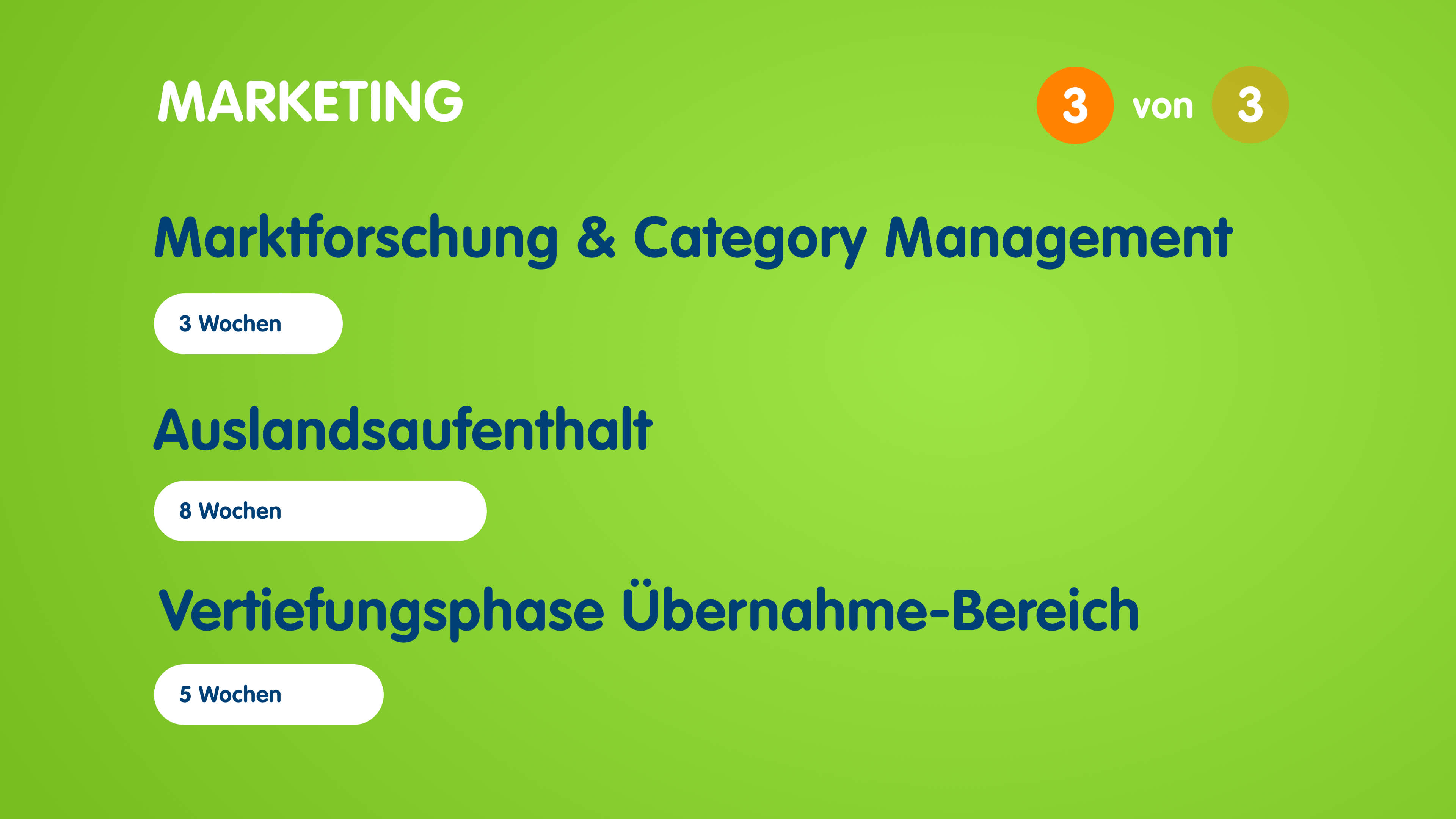 Infografik zum Aufbau des Traineeprogramms im Marketing