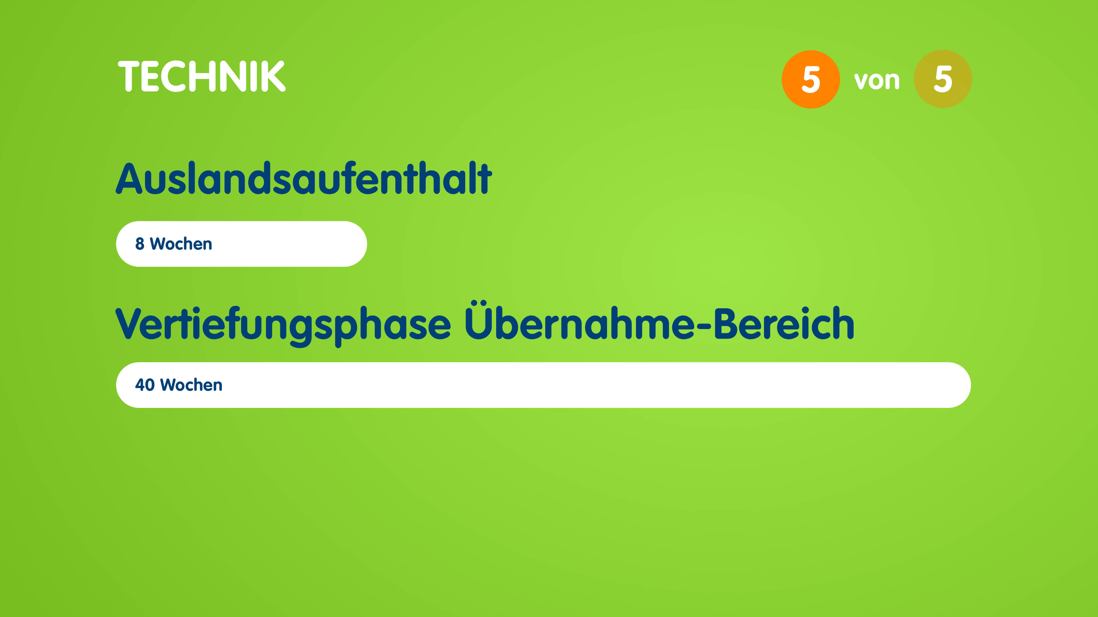 Infografik zum Aufbau des Traineeprogramms in der Technik