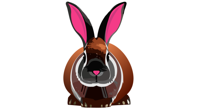 Rabbit 1 4