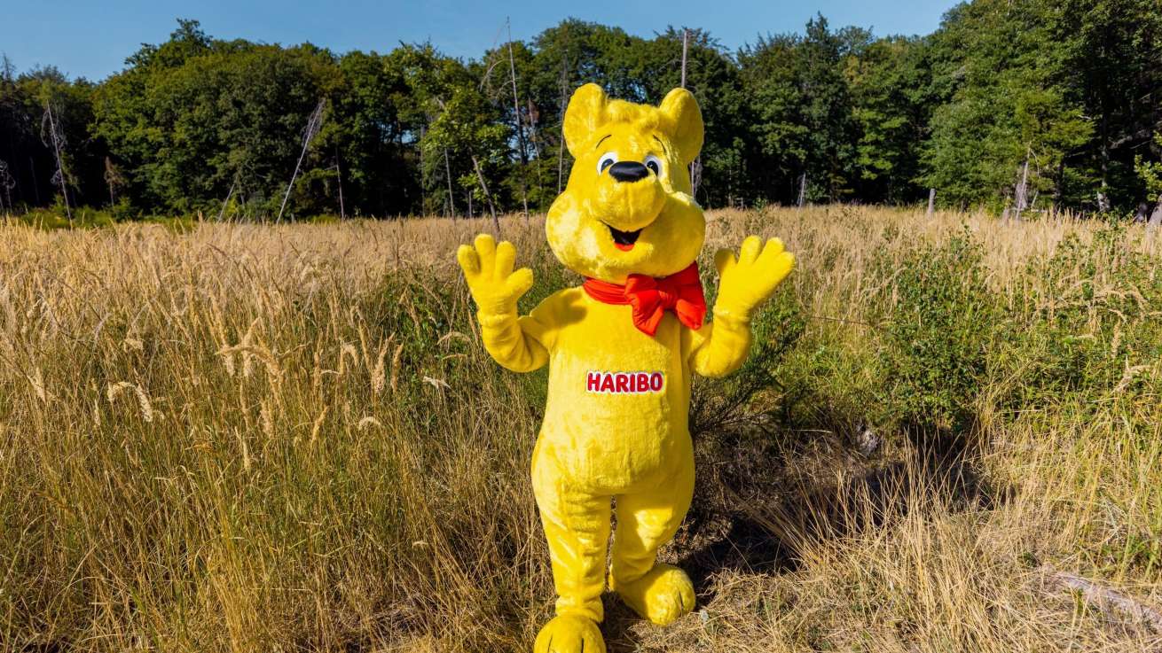 Pflanzen statt Sammeln HARIBO Goldbär auf neuer Waldfläche 1 c HARIBO Gmb H Co KG