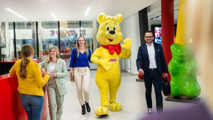 Teaser Rectangle Reception with Goldbear