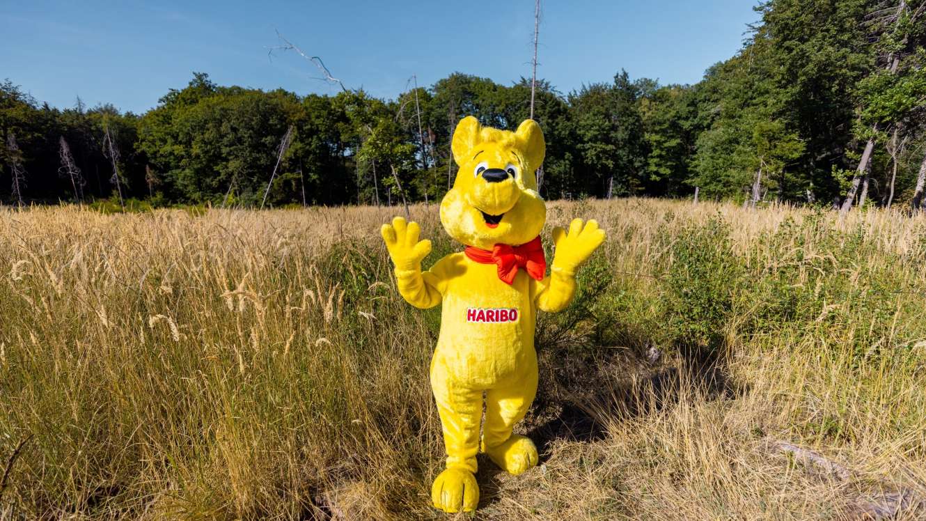 Goldbär auf Waldfläche_C HARIBO_16zu9