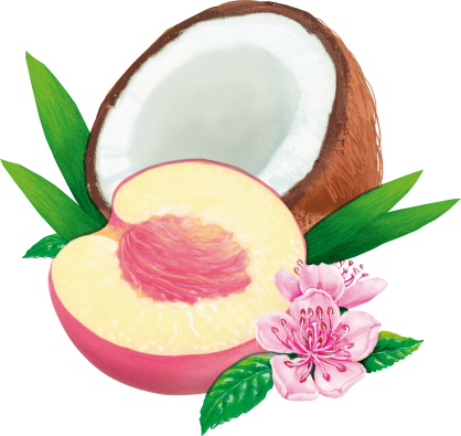 Pfirsiche White Peach Deko