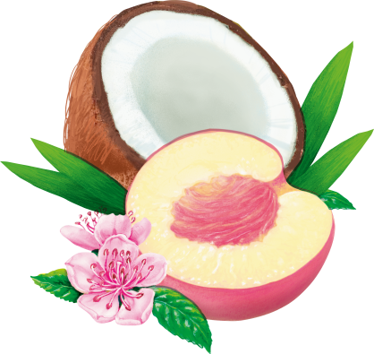 Pfirsiche White Peach Deko