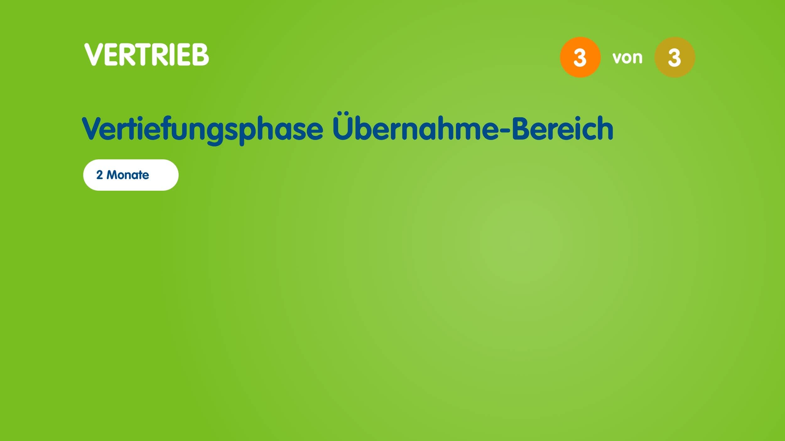 Infografik zum Aufbau des Traineeprogramms im Vertrieb