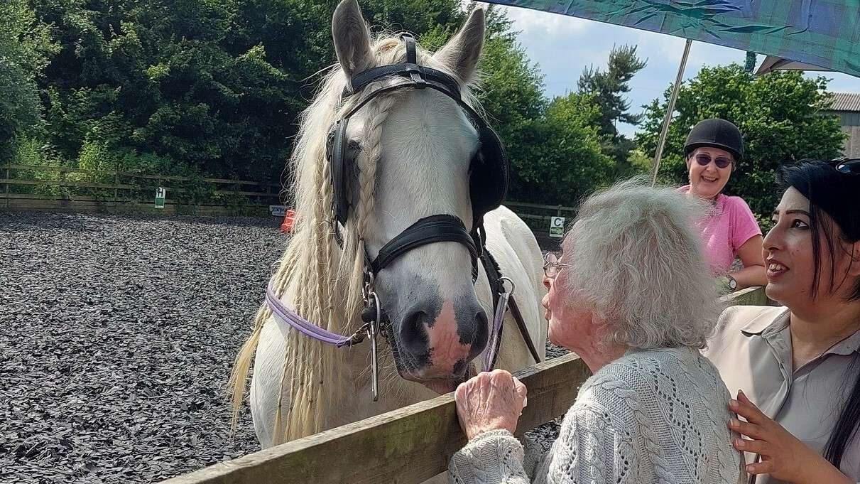 A horse leans in for a kiss with an older lady.