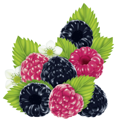 Berries